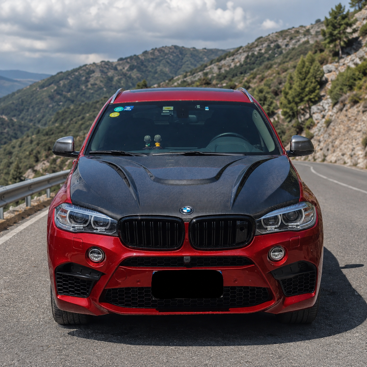 BMW Carbon Fiber HM Style Hood for F16 X6