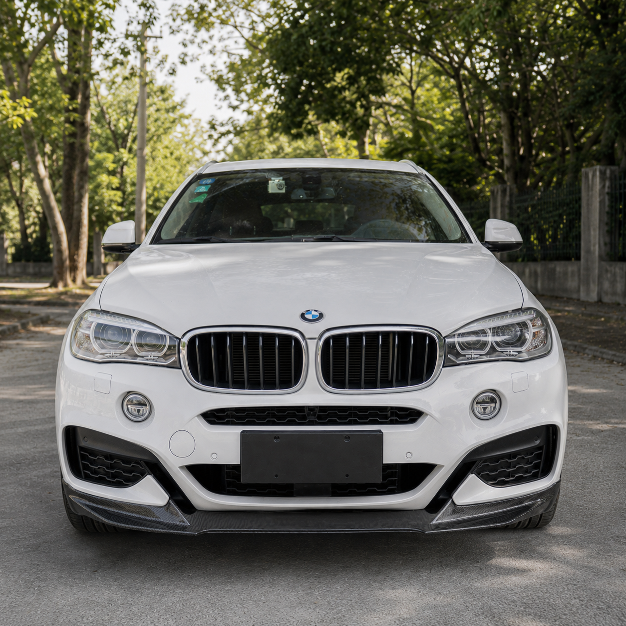 BMW Carbon Fiber Performance Style Front Splitter for X6 F16 M Sport