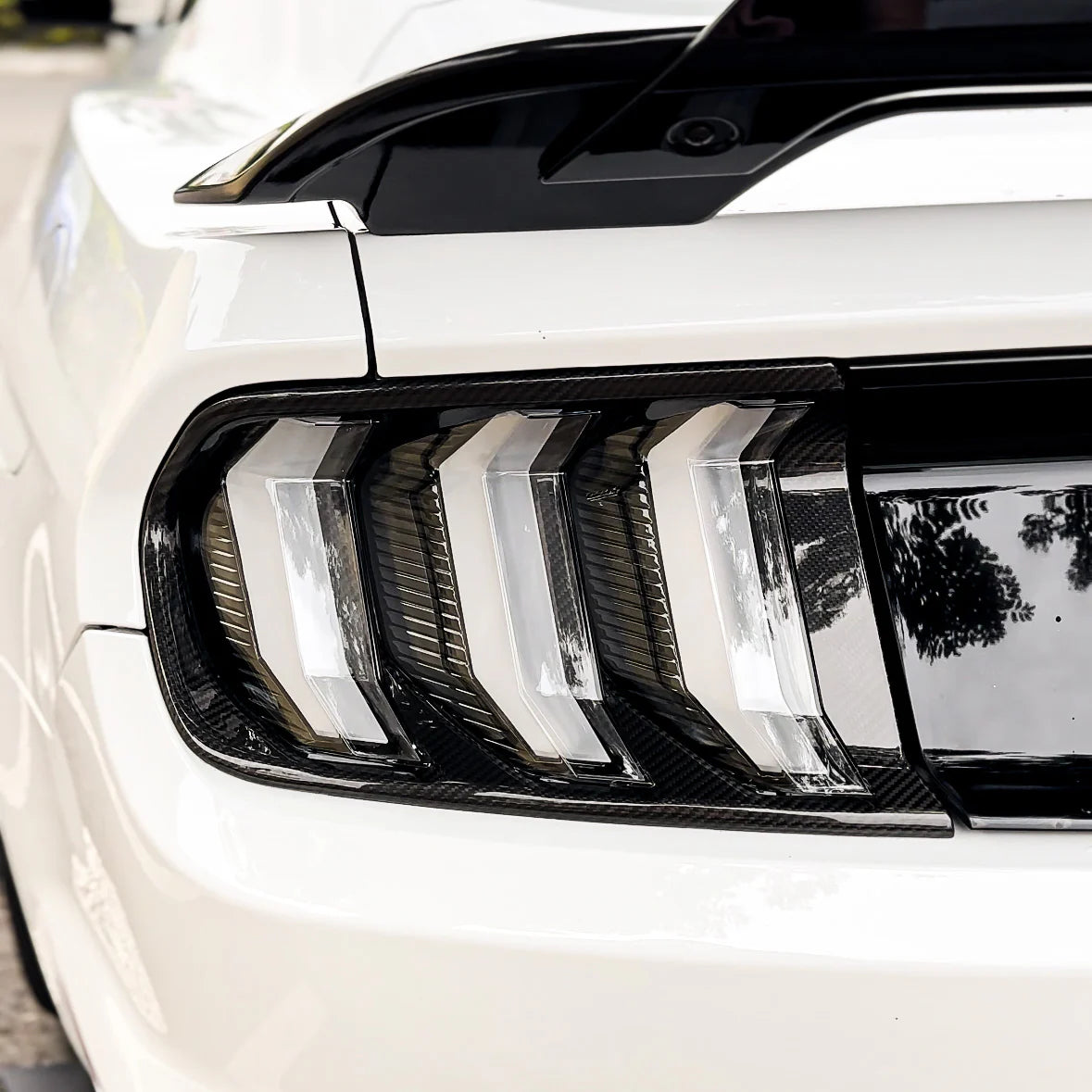Ford Carbon Fiber Tail Light Trim for Mustang S550