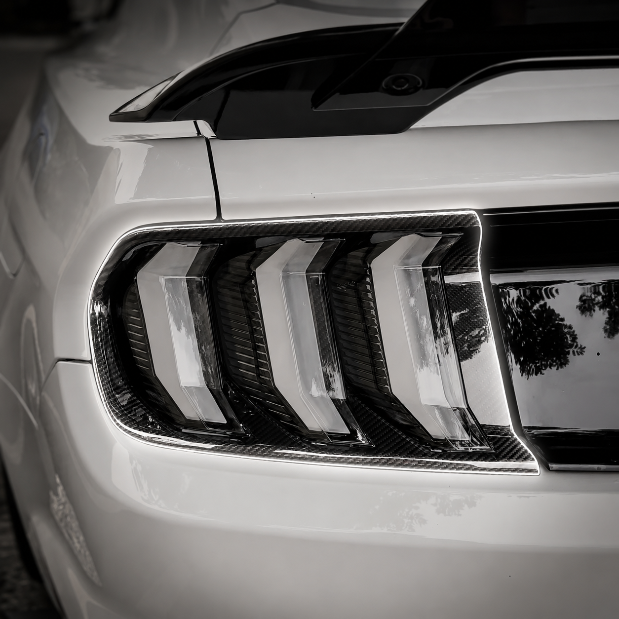 Ford Carbon Fiber Tail Light Trim for Mustang S550