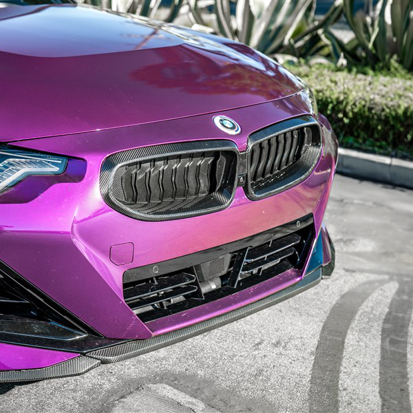 BMW Pre-Preg Carbon Fiber Front Grille for G42