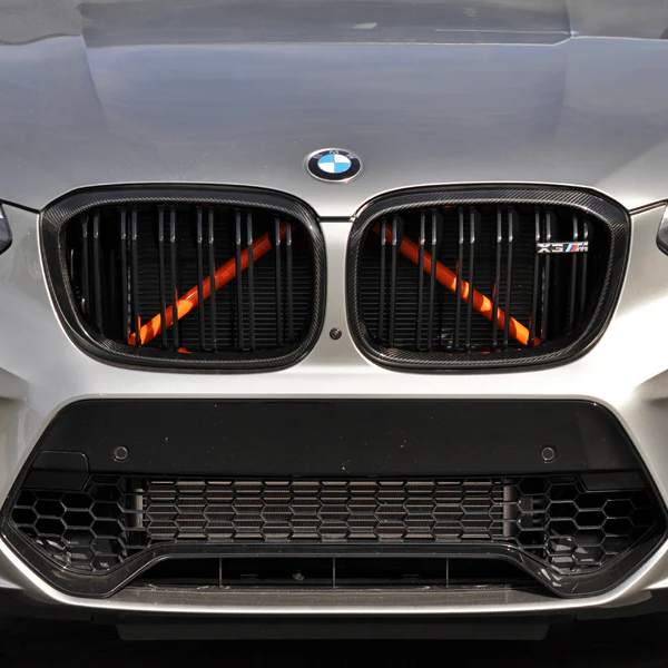 BMW Carbon Fiber M Performance Style Front Grille for G01 & G02 Pre-LCI