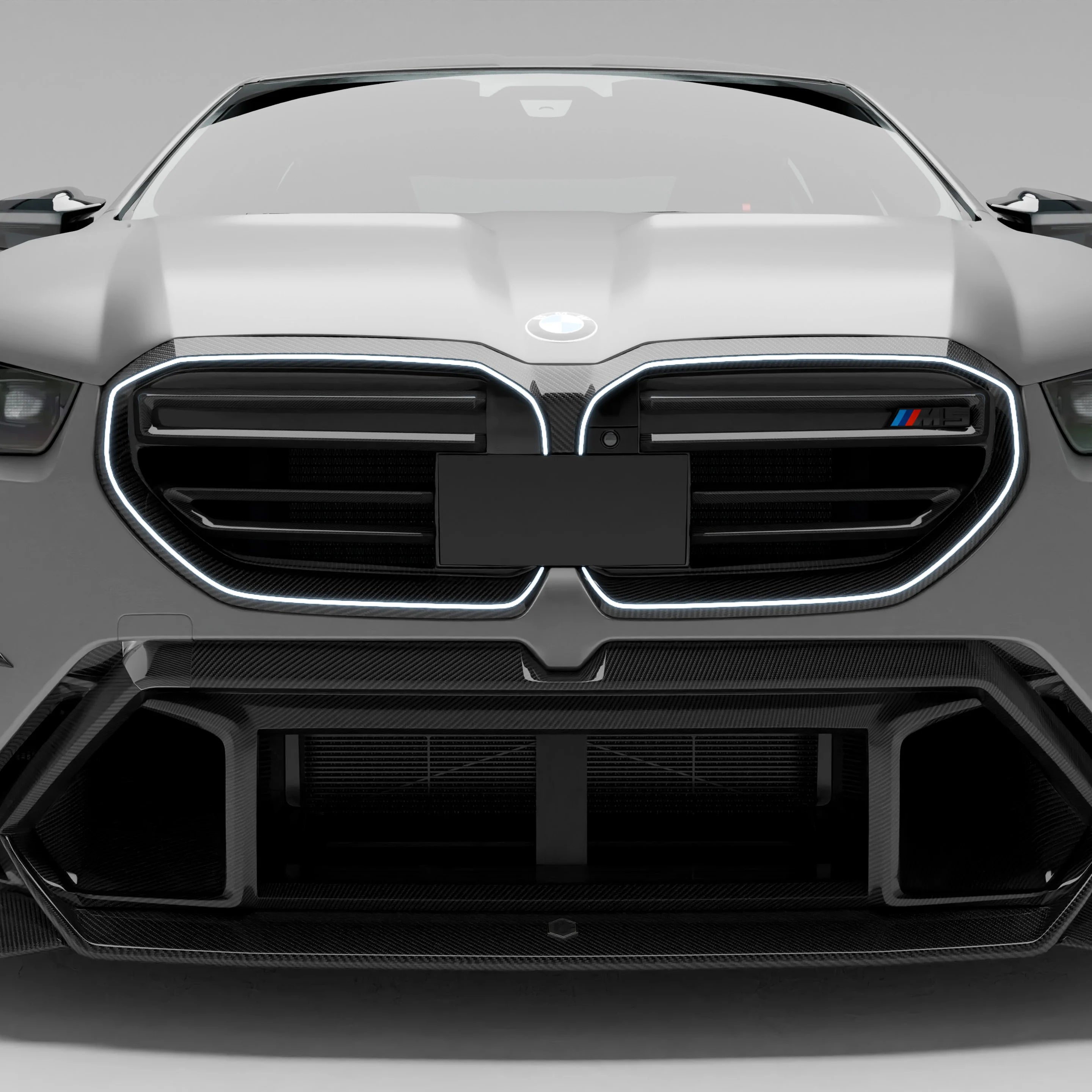 BMW RZ-S Pre-Preg Carbon Fiber Front Lower Grille for G90/G99 M5
