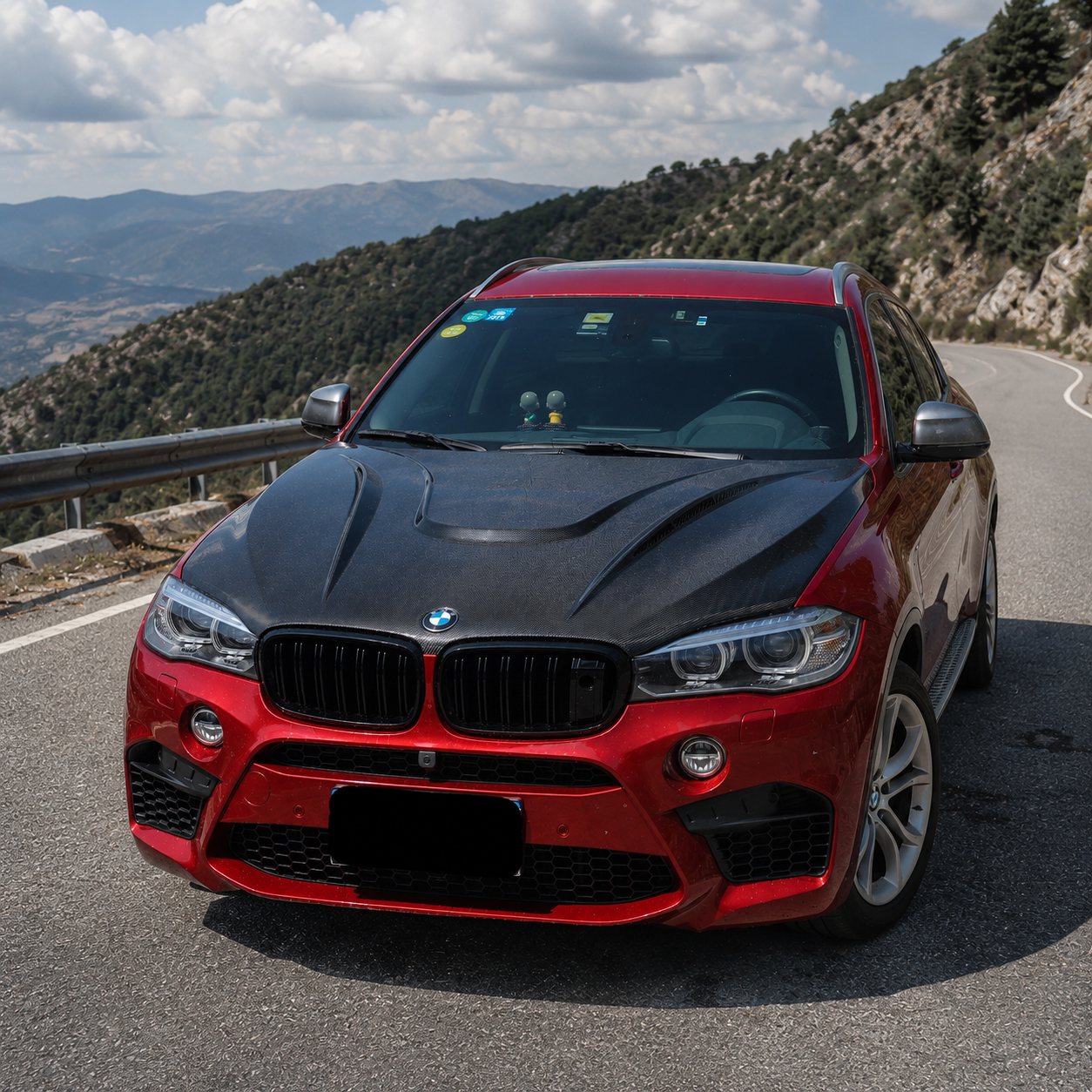 BMW Carbon Fiber HM Style Hood for F16 X6