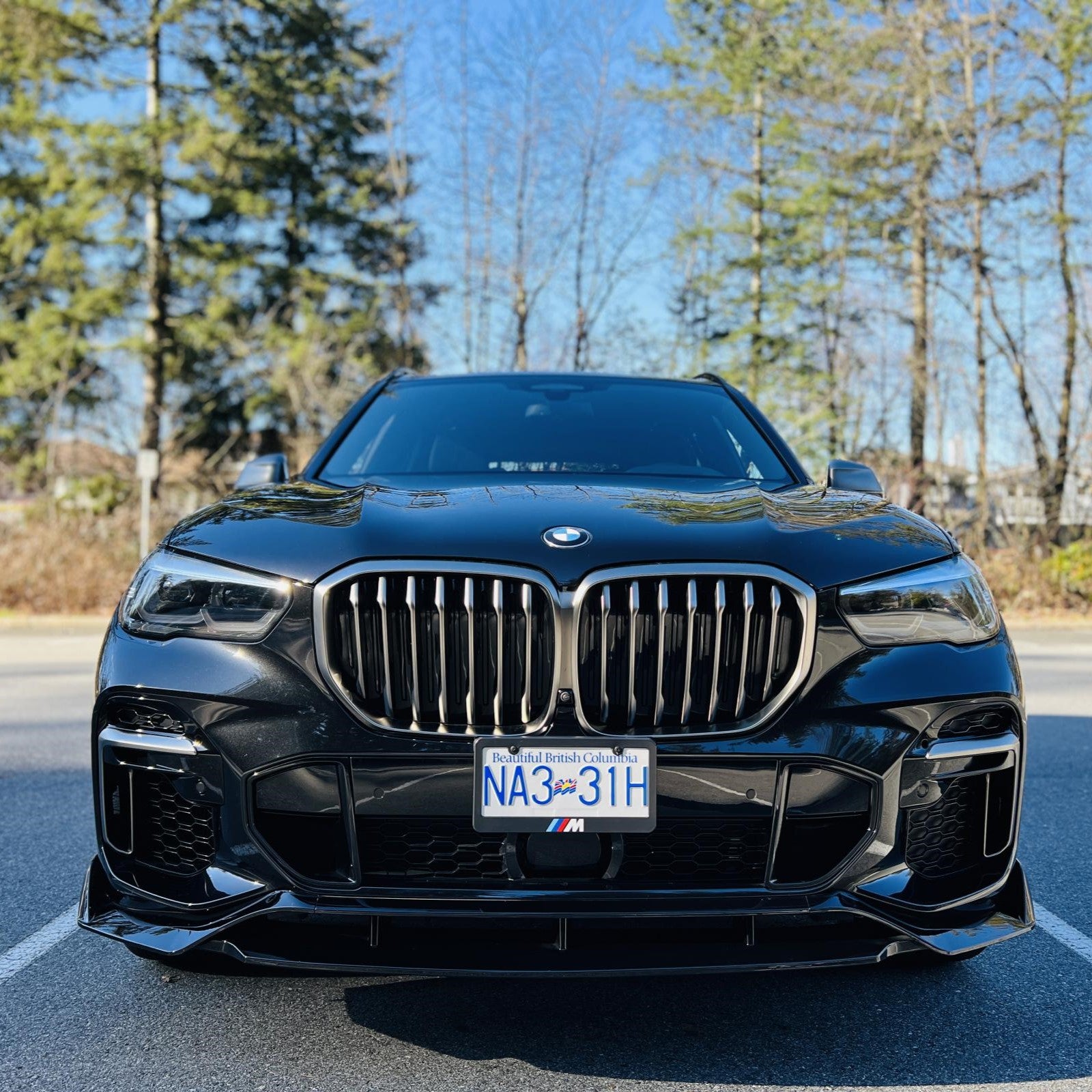 BMW Custom Front Splitter for G05 Pre-LCI