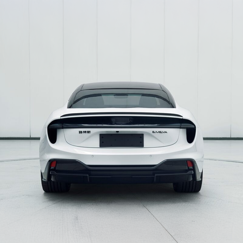 Lotus Pre-Preg Carbon Fiber OEM Style Spoiler for Emeya