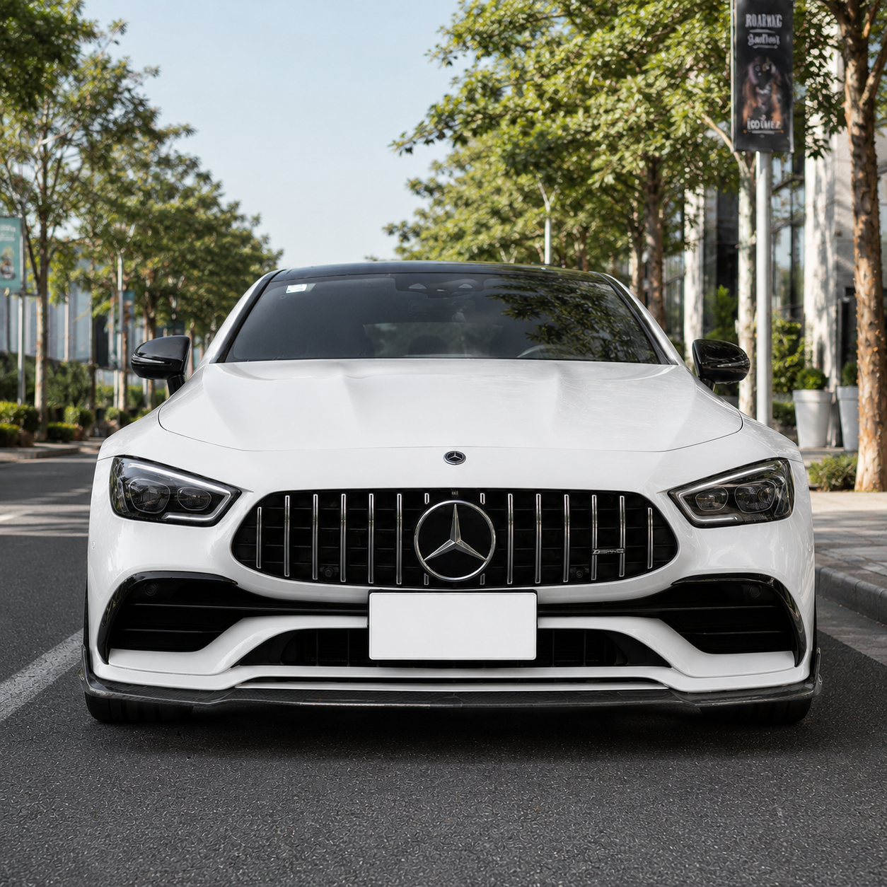 Mercedes Carbon Fiber JCS Style Front Splitter for X290 GT