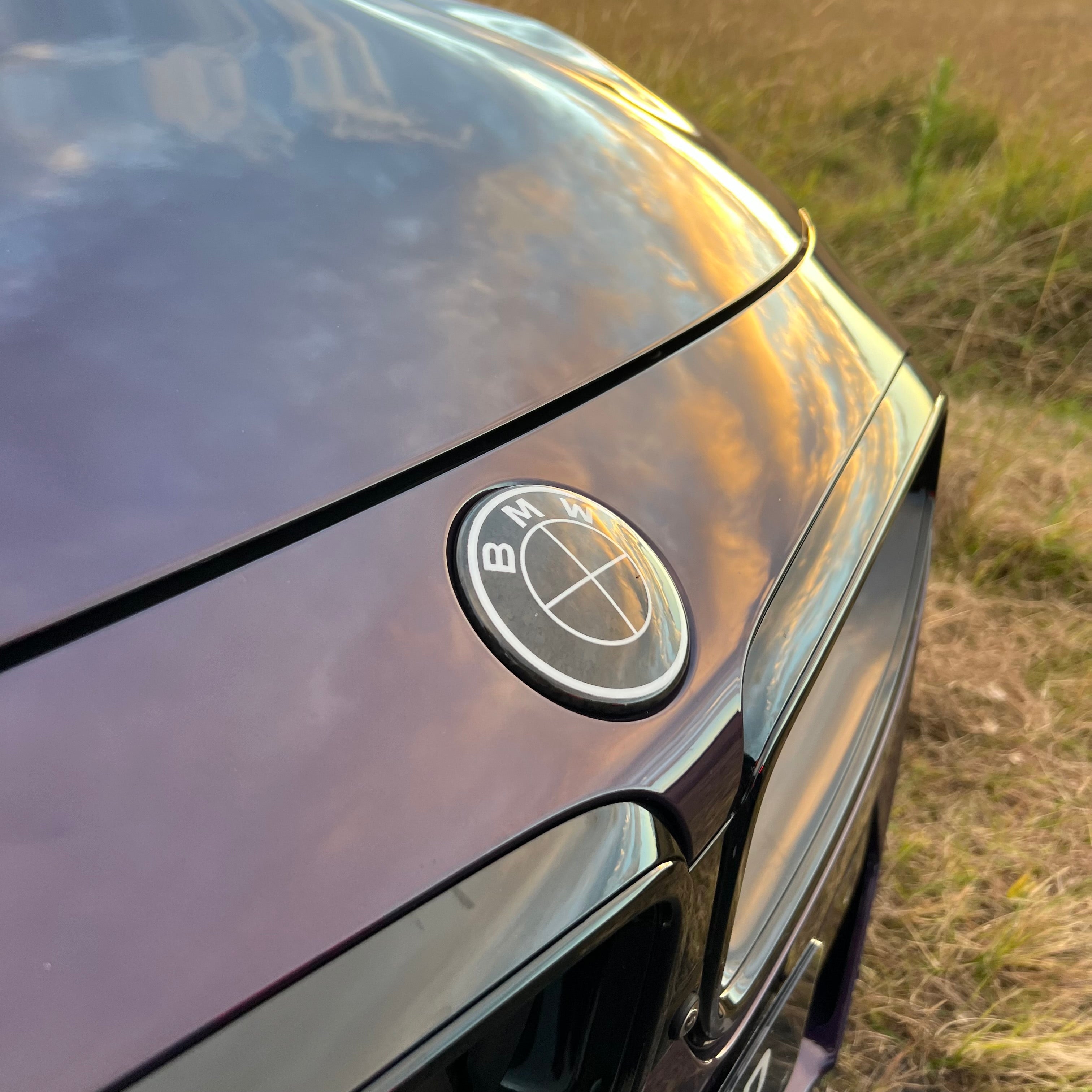 BMW Carbon Fiber M Hood & Bonnet Badges