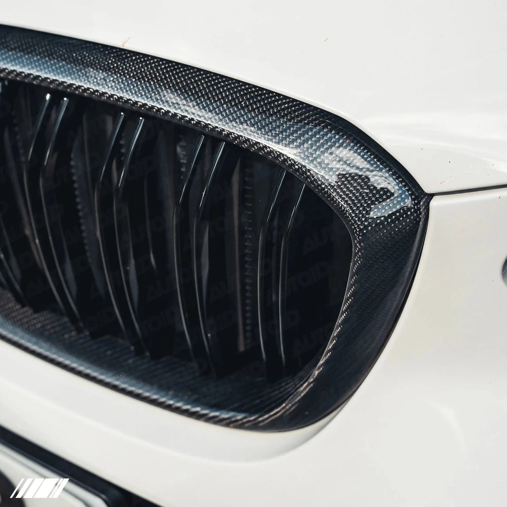 BMW Carbon Fiber Front Grilles for G01 & G02 Pre-LCI